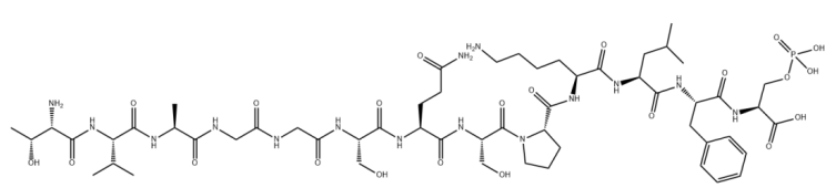 磷酸化多肽合成定制|2243207-01-2|Artemis